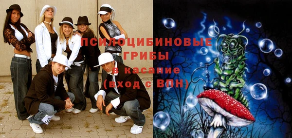 крисы Михайловск