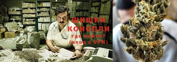 стаф Магадан