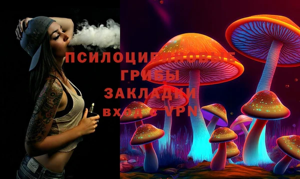стаф Магадан