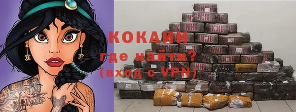 гидра Михайловка