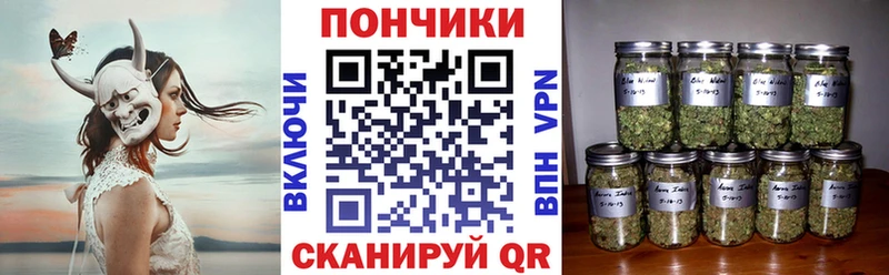 Бошки Шишки SATIVA & INDICA  купить наркотики сайты  Липецк 